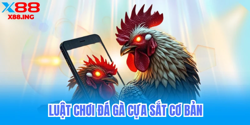 Luật chơi đá gà ít ai biết